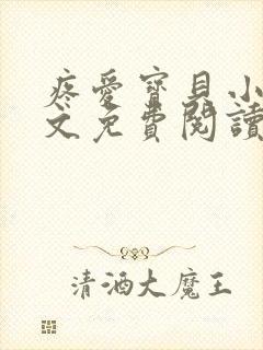 疼爱宝贝小说全文免费阅读笔趣阁