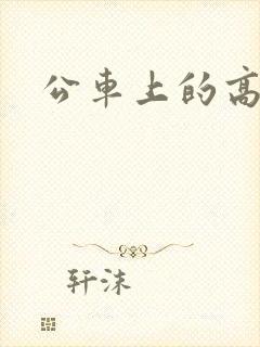公车上的高潮