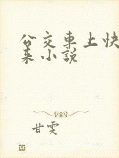 公交车上快插进来小说