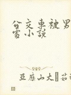 公交车被男人破处小说