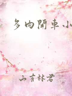多肉开车小说