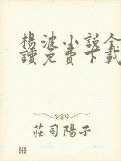 杨波小说全文阅读免费下载无弹窗