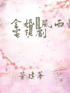 金婚·风雨情 电视剧