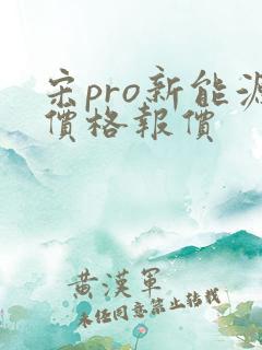 宋pro新能源价格报价