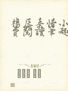 杨辰秦惜小说免费阅读笔趣阁