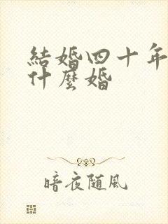 结婚四十年叫属什么婚