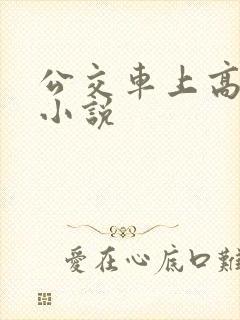 公交车上高潮了小说