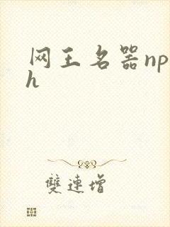 网王名器np高h
