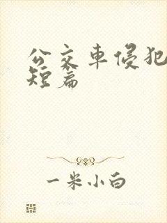 公交车侵犯肉h短篇