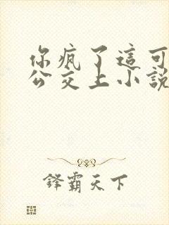 你疯了这可是在公交上小说全文免费阅读