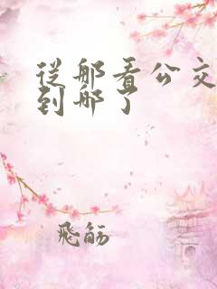 从那看公交车走到哪了