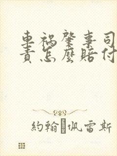 车祸肇事司机全责怎么赔付受伤者