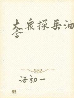 大众探岳油电混合