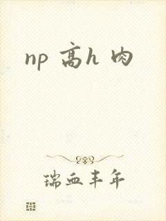 np 高h 肉