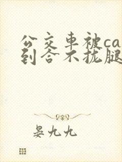 公交车被cao到合不拢腿视频