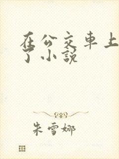 在公交车上高潮了小说