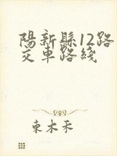 阳新县12路公交车路线