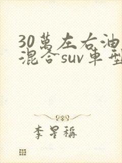 30万左右油电混合suv车型推荐