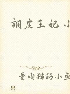 调皮王妃 小说