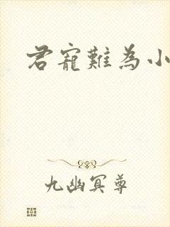 君宠难为小说