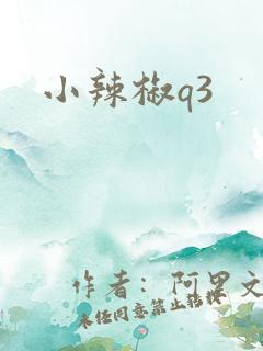 小辣椒q3