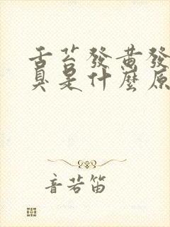 舌苔发黄发苦口臭是什么原因