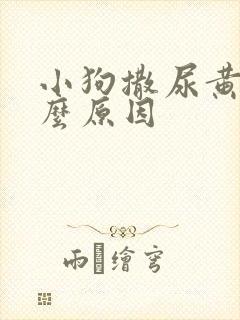 小狗撒尿黄是什么原因
