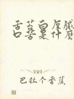 舌苔白厚腻口干口苦是什么原因造成的