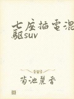 七座插电混动四驱suv