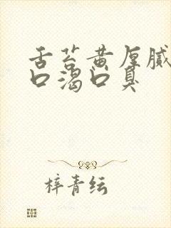舌苔黄厚腻口干口渴口臭