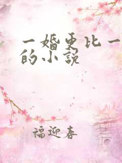 一婚更比一婚高的小说