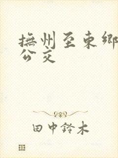 抚州至东乡城际公交