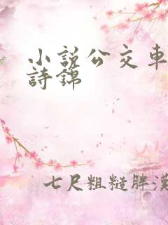 小说公交车上的诗锦