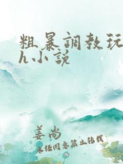 粗暴调教玩弄高h小说