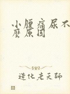 小腹痛尿不尽什么原因