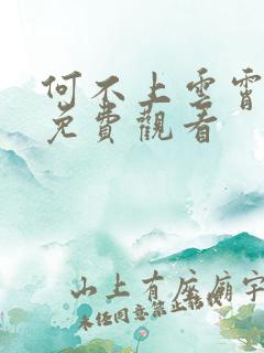 何不上云霄小说免费观看