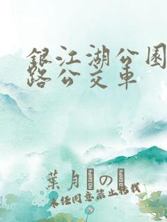 银江湖公园坐几路公交车