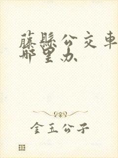 藤县公交车卡在哪里办