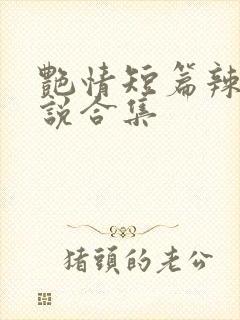 艳情短篇辣文小说合集