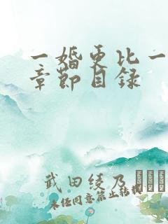 一婚更比一婚高章节目录