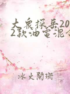 大众探岳2022款油电混合