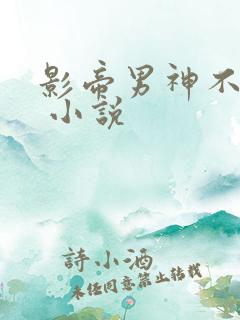 影帝男神不节制 小说