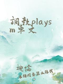 调教playsm车文