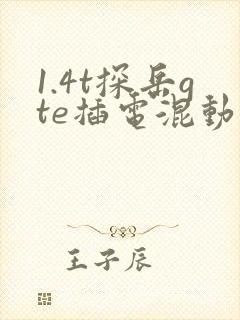 1.4t探岳gte插电混动落地价