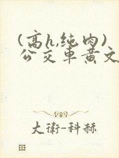 (高h,纯肉)公交车黄文