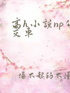 高h小说np公交车