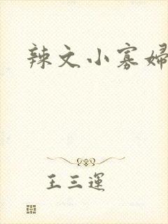 辣文小寡妇