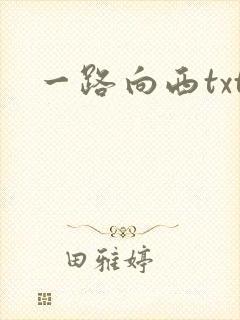 一路向西txt