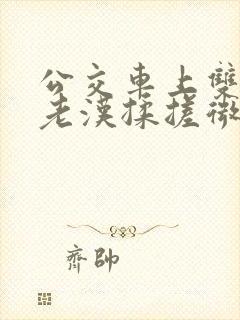 公交车上双乳被老汉揉搓微博