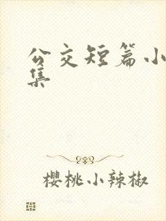 公交短篇小说合集